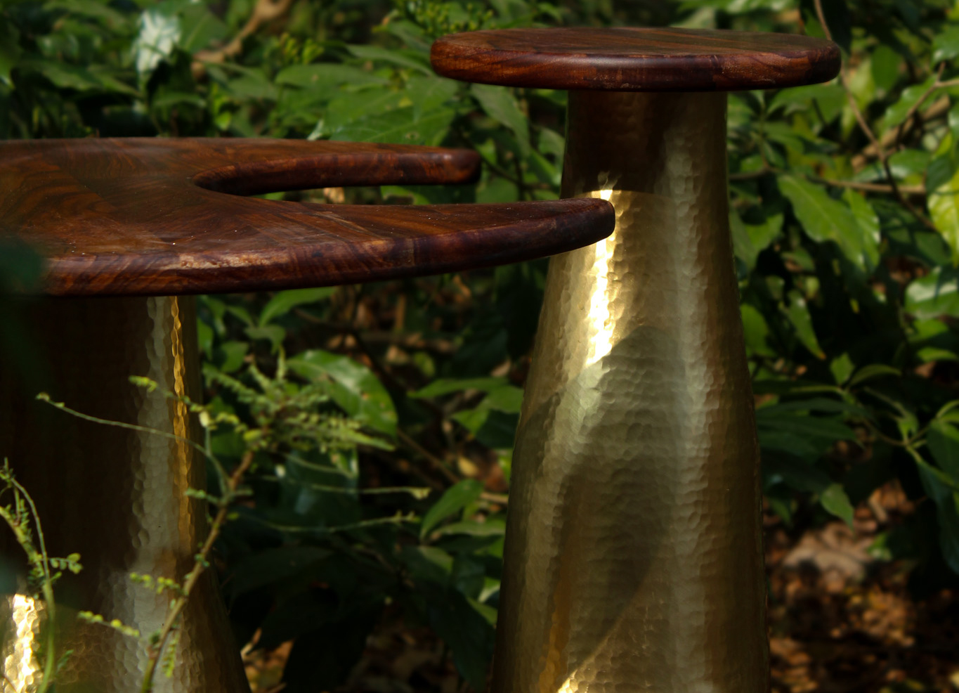 Samatva image 1